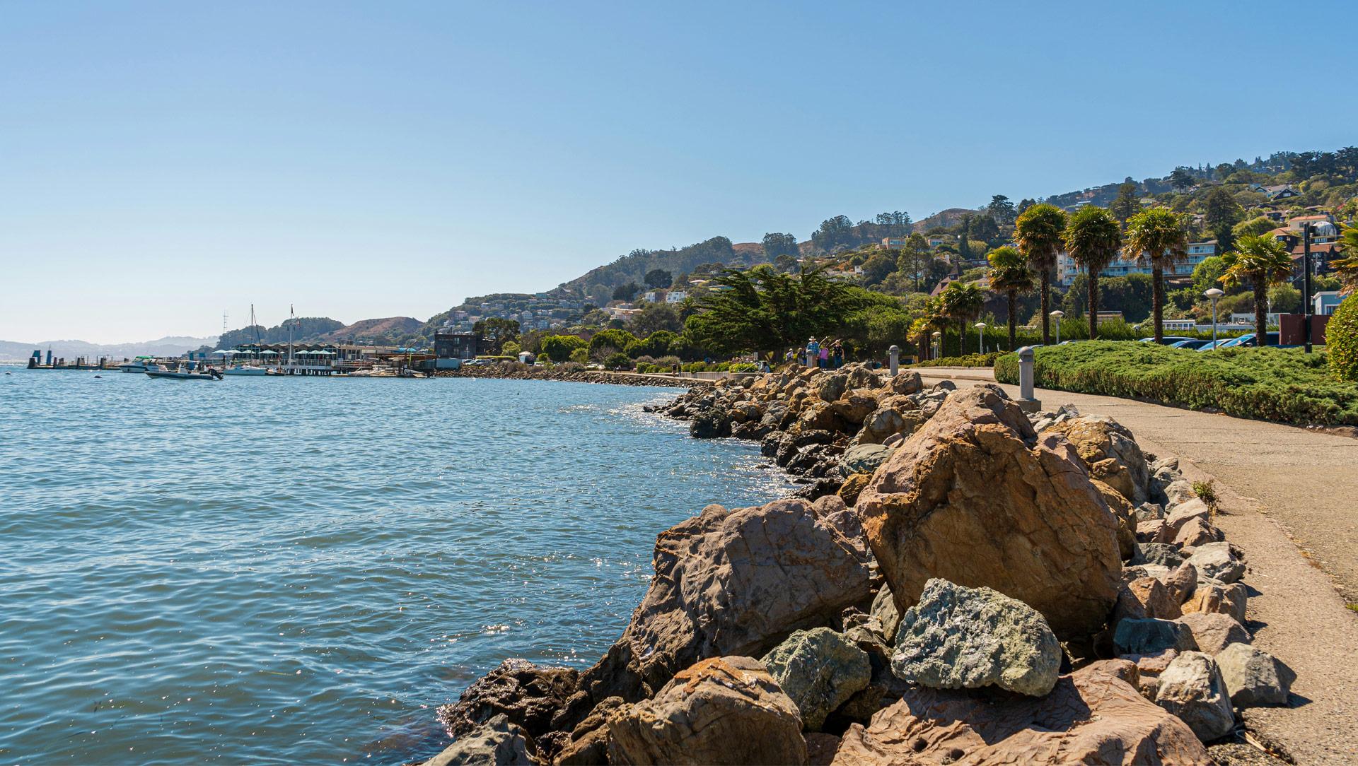 Sausalito shoreline