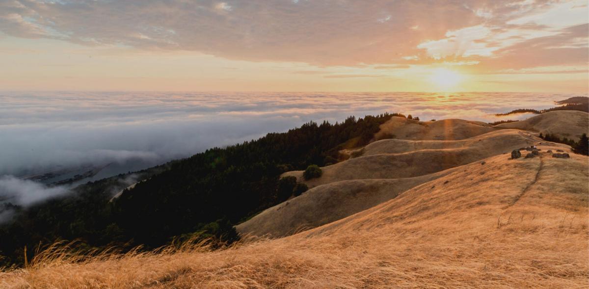 Golden Marin County hills